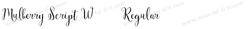 Mulberry Script W01 Regular字体转换